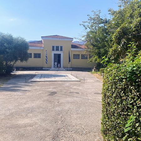 Captain'S Beach Apartments Limenas  Bagian luar foto